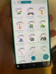 ポケモンGO結構強め垢！ptcでのお渡し