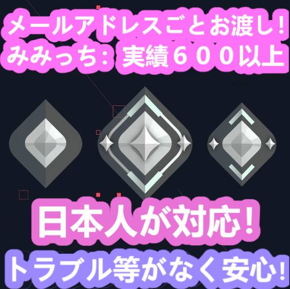 出品画像