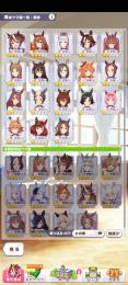 引退　☆3マルゼン　トウカイ　SSRサポ16体【キタサン　ニシノ1凸　ファイン1凸　ウオッカ等】