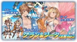 【グラブル】シリアルコード グラン＆ジータ水着（ジョブスキン）