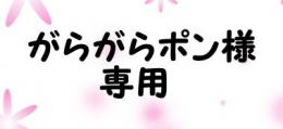 がらがらぽん様専用