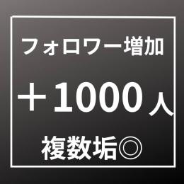 フォロワー増加 1000人〈安心365日間保証〉〈複数垢◎〉〈お振り分けアカウント上限なし〉