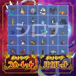 ★クリスマスセール★大好評のシングル対戦TOP30匹セット入荷★