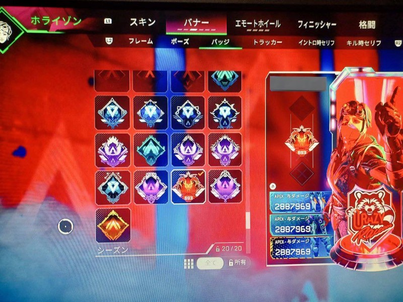 出品画像