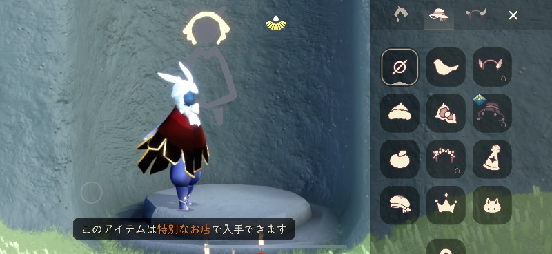 出品画像