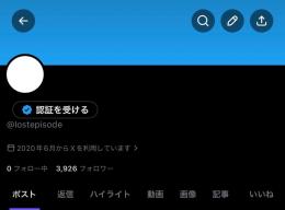 正規 日本人フォロワー 