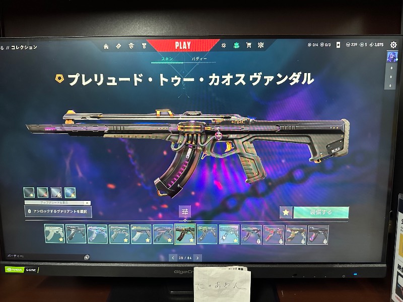出品画像