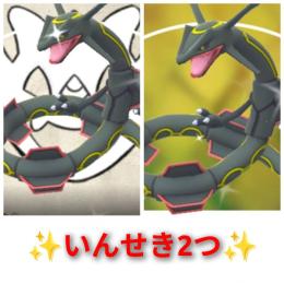 No.【PTC】【海外産】✨いんせき2つ✨色違い背景レックウザ、色違いレックウザ