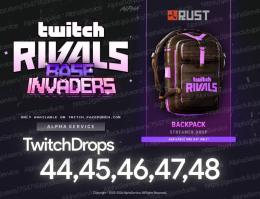 👑Rustランキング1位❗️Twitch Drops 44-48🔥計47個 最新付き,隠しも付属