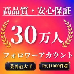 高品質・安心保証 フォロワー30万人オールドアカウント〈業界最大手〉〈取引1000件超〉