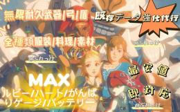 🔥即対応データ強化代行🔥ゼルダの伝説 ティアーズ・オブ・ザ・キングダム（TOTK）