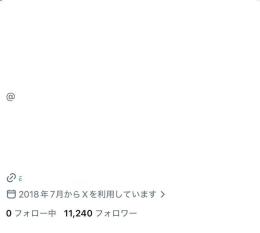 出戻り記念値下げ中!【影響力大✨/日本人フォロワー多めフォロワー1.1万人🔥】 フォロ爆一切無し❌