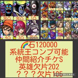 系統王コンプ可能🔥【初期垢石12万】竜王&ハーゴン完凸 エイト4凸 強キャラ多数