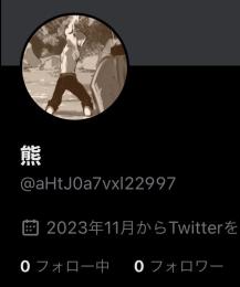 日本産 メアド認証済 2023/11 作成 アカウント 初期垢