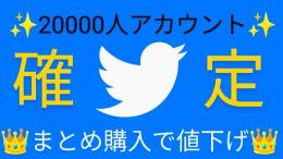 【業界最安値】⭐20000人確定アカウント⭐