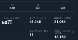 定価6万超え/インプ数60万/全日本人