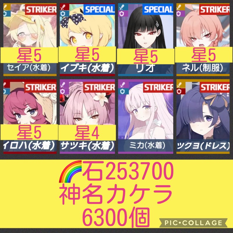 出品画像