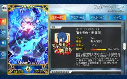 ✨シエル5凸+アルジュナ・オルタ5凸+聖晶石600⤴︎🔥