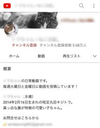 【最高月収30万】5.68万人 / 良質登録者 / 属人性なし