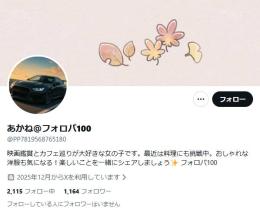 セール中【高アクティブ】日本人フォロワー1164人 Noシャドウバン 気取り垢 自動納品