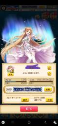 SAO　アスナ所持初期垢　