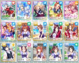 サポートSSR6枚