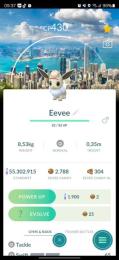 【非対面トレード】色違いイーブイ(香港背景)