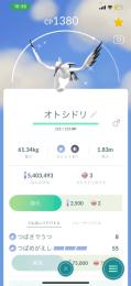 TL40→色違いオトシドリ＆グルトン！色違い66匹個体値100が16匹