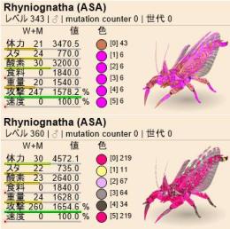 ASA(公式PVE) リニオグナタ 卵/胚200円 成体800円～