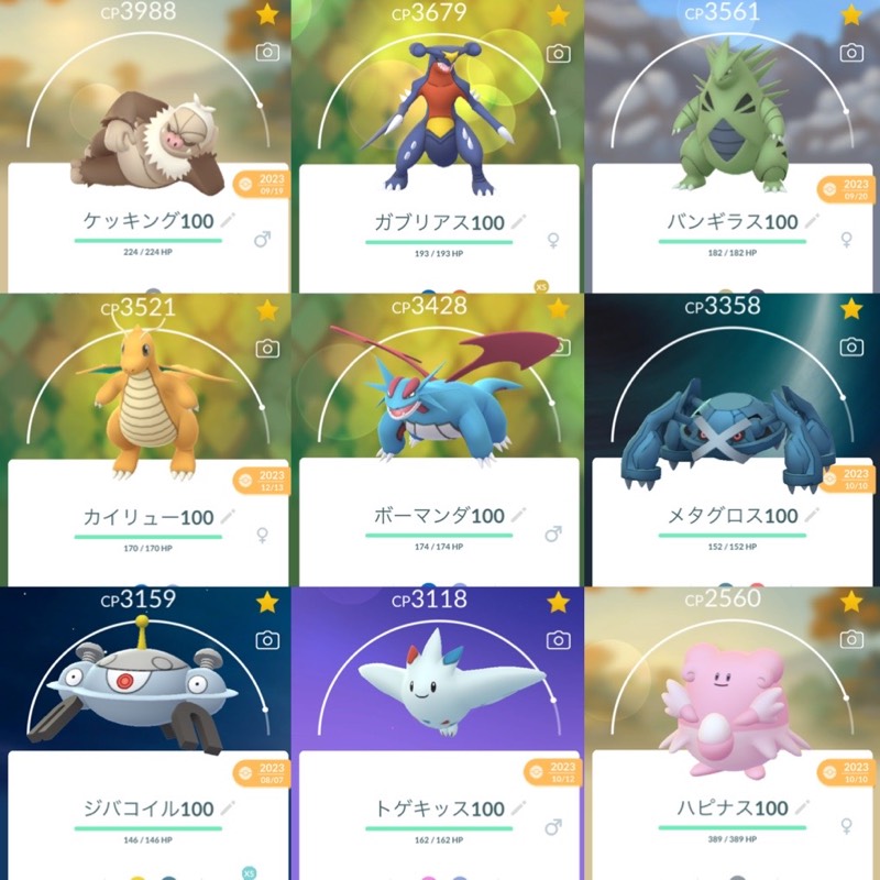 出品画像