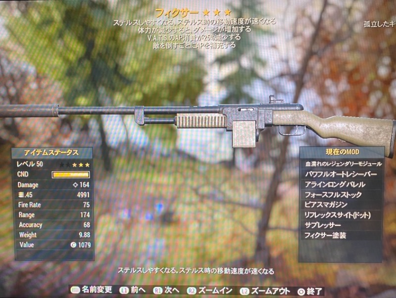 出品画像