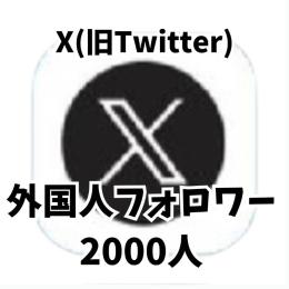 ぷれグイ 様専用  X(旧Twitter) 🍀外国人フォロワー・2000人🍀