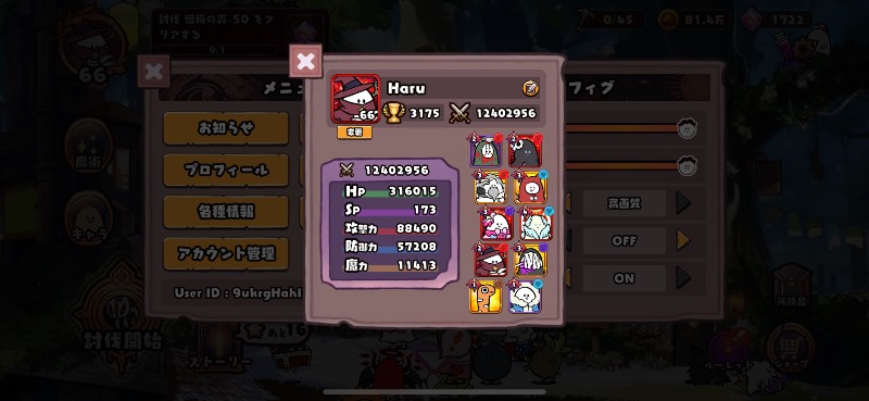 出品画像