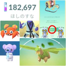 色違い4✨トロピウス、ダゲキ、パラス、クマシュン💡だいじなたからばこ入💡