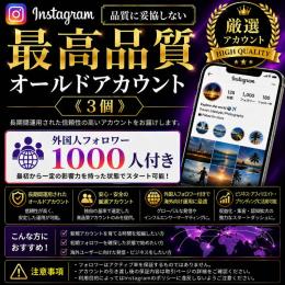 最高品質オールドアカウント《3個》【品質に妥協しない】外国人フォロワー1000人付き