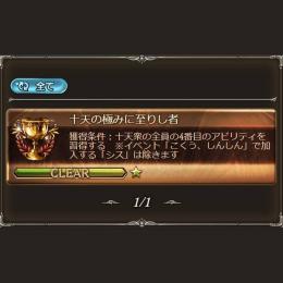 SSRキャラ210↑ 賢者5 十天極み 全リミ武器41↑(4凸12↑)