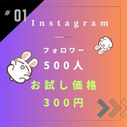 📸【Instagram】フォロワー500人増加〜減少保証あり✨️