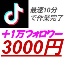 超最安値🔥TikTokフォロワー１万人増加✨