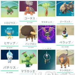 色違いドッコラー 地域限定大量 ♂♀多数 アカウント販売