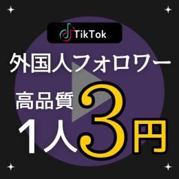 【TikTok】高品質 外国人フォロワー100人増やします!!✨