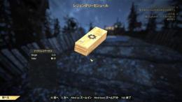 専用出品