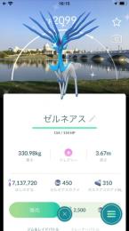 フェリヤさま専用