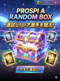 ランダムボックス