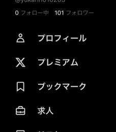 ぎるちゃ様専用 Xアカウント