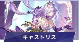 引退垢 キャストリス2凸+永訣よ美しくあれ+チケット67