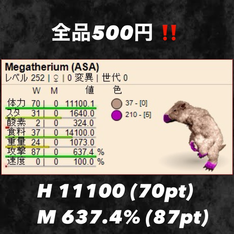 出品画像
