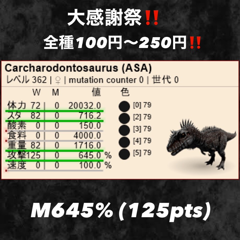 出品画像