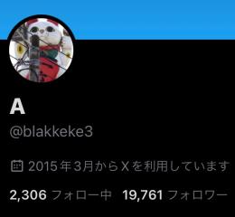 今日のみ値下げ🔥【影響力大✨/多国籍フォロワー1.9万人🔥】 フォロ爆一切無し❌ シャドウバン❌