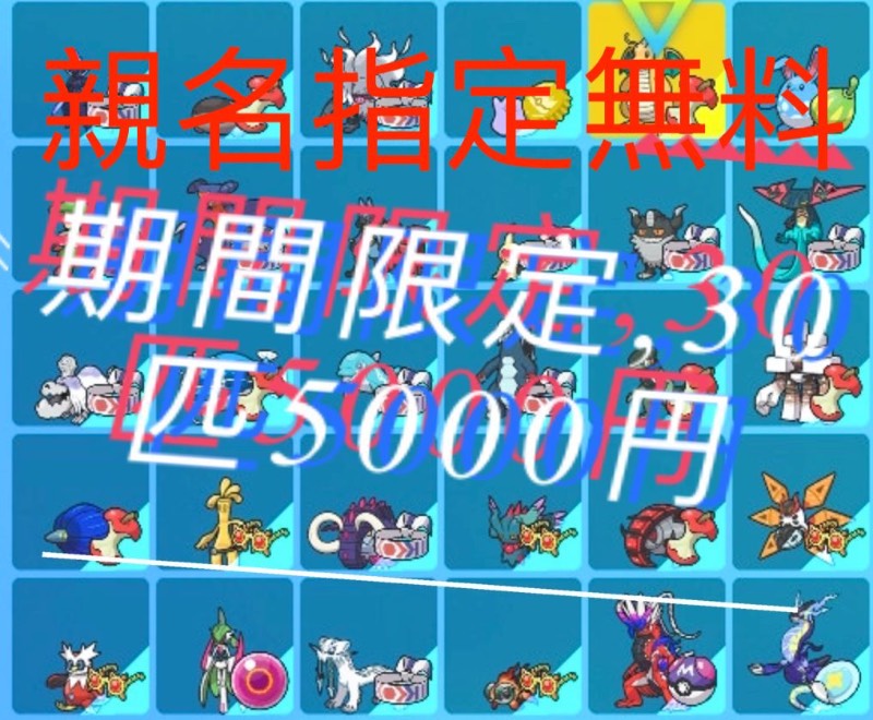 ポケモンsv 正規国産 最強個体 6v Lv100 努力値完璧 国産 色違い 親名指定無料 ポケモンsv ゲームクラブ