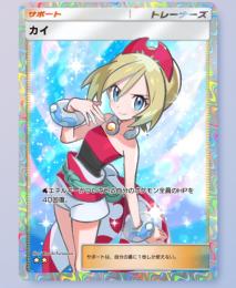 【⭐️2】カイ×1